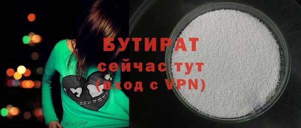 индика Протвино