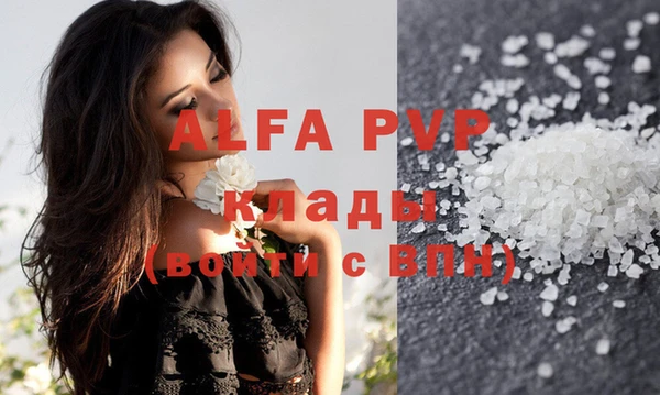 индика Протвино