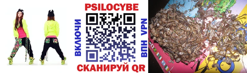 Купить где  Псков  Псилоцибиновые грибы Magic Shrooms 